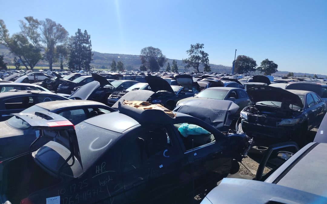 Transfers originales para Ford