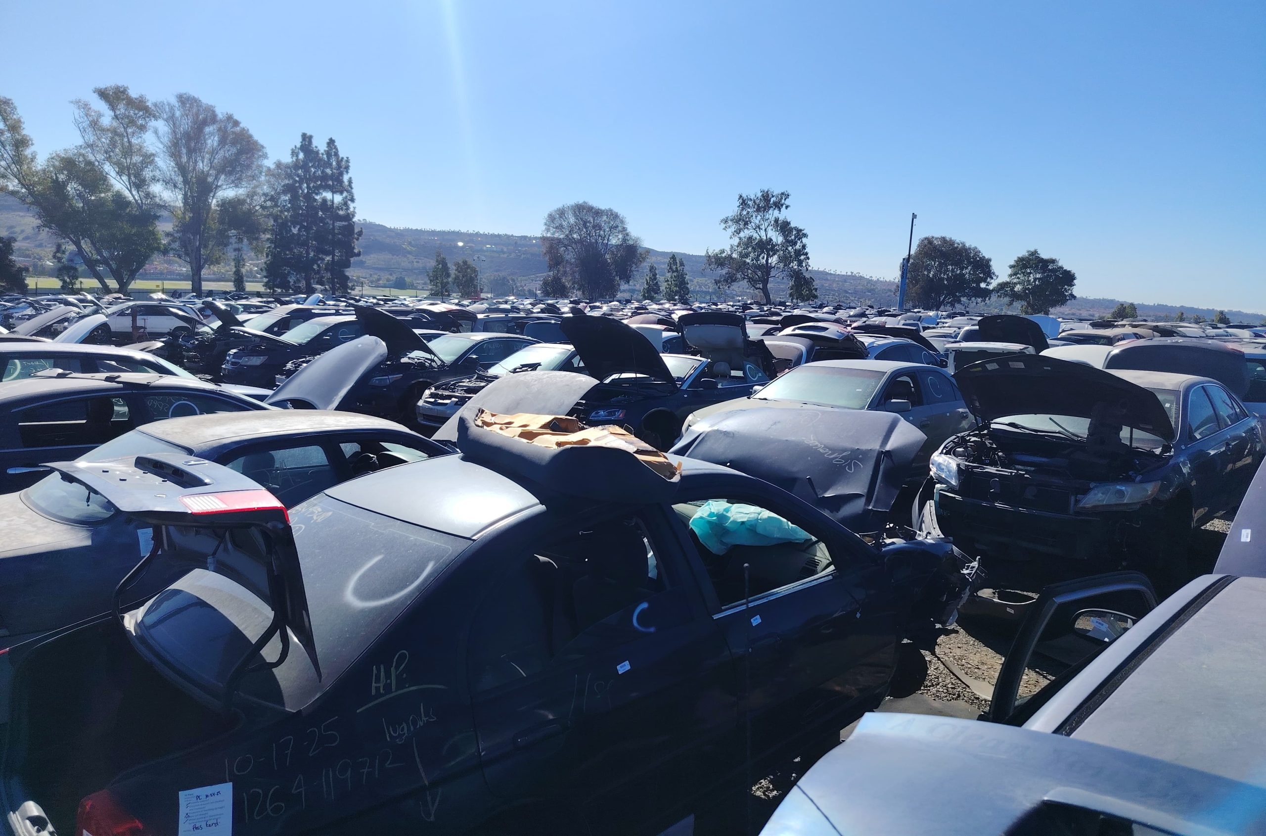 Transfers originales para Ford