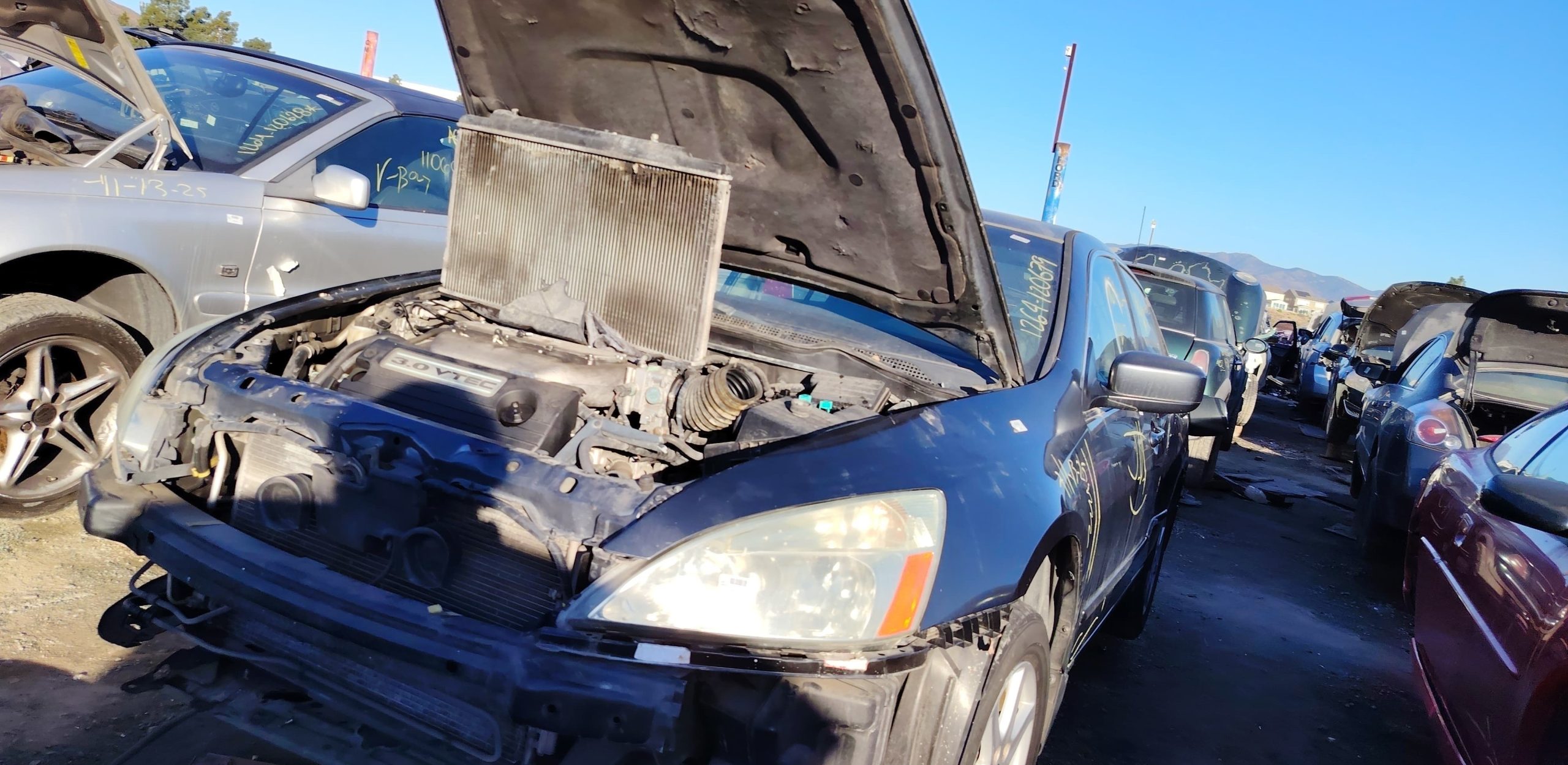 Transfers originales para KIA Sedona