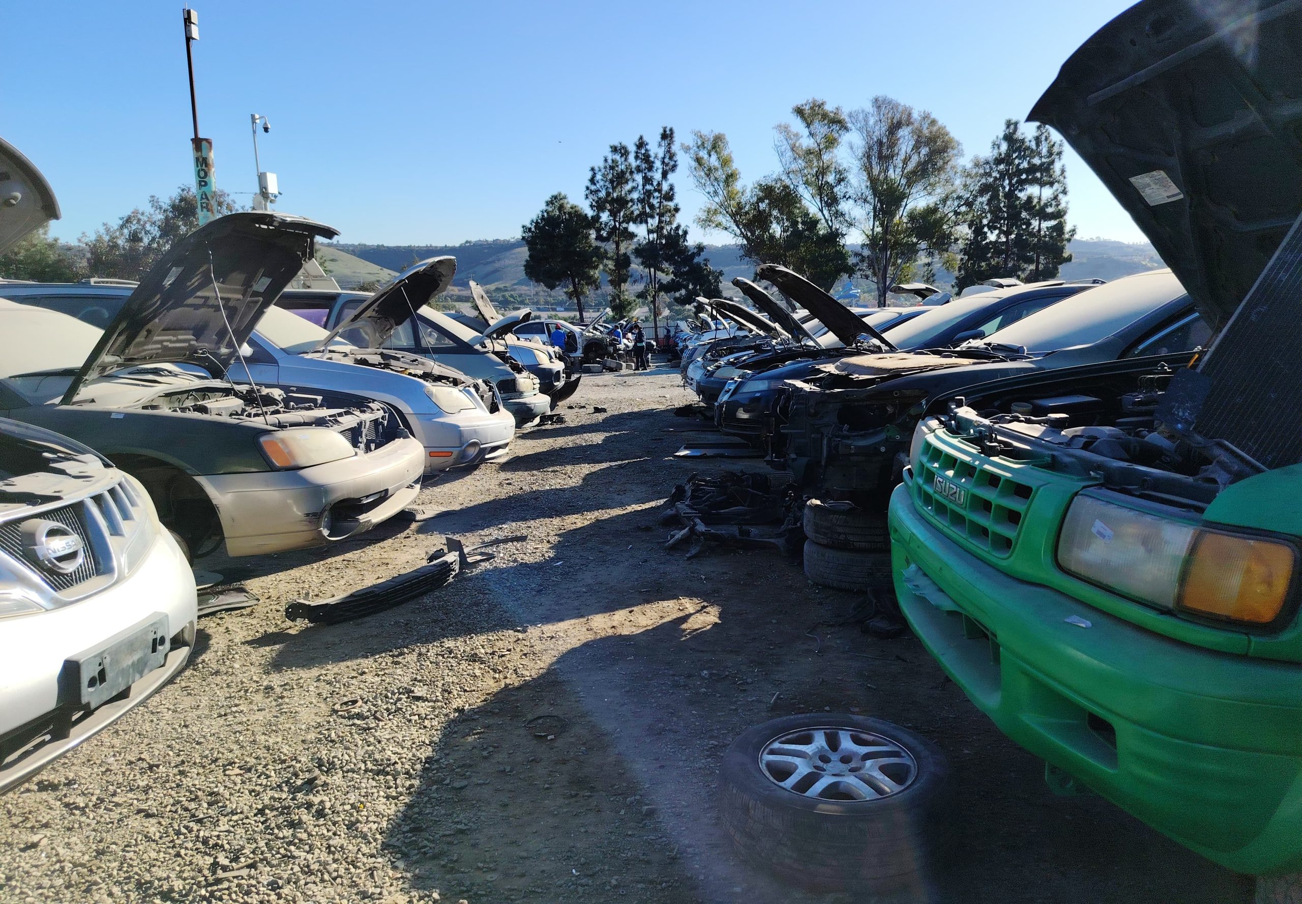 Transfers originales para Isuzu