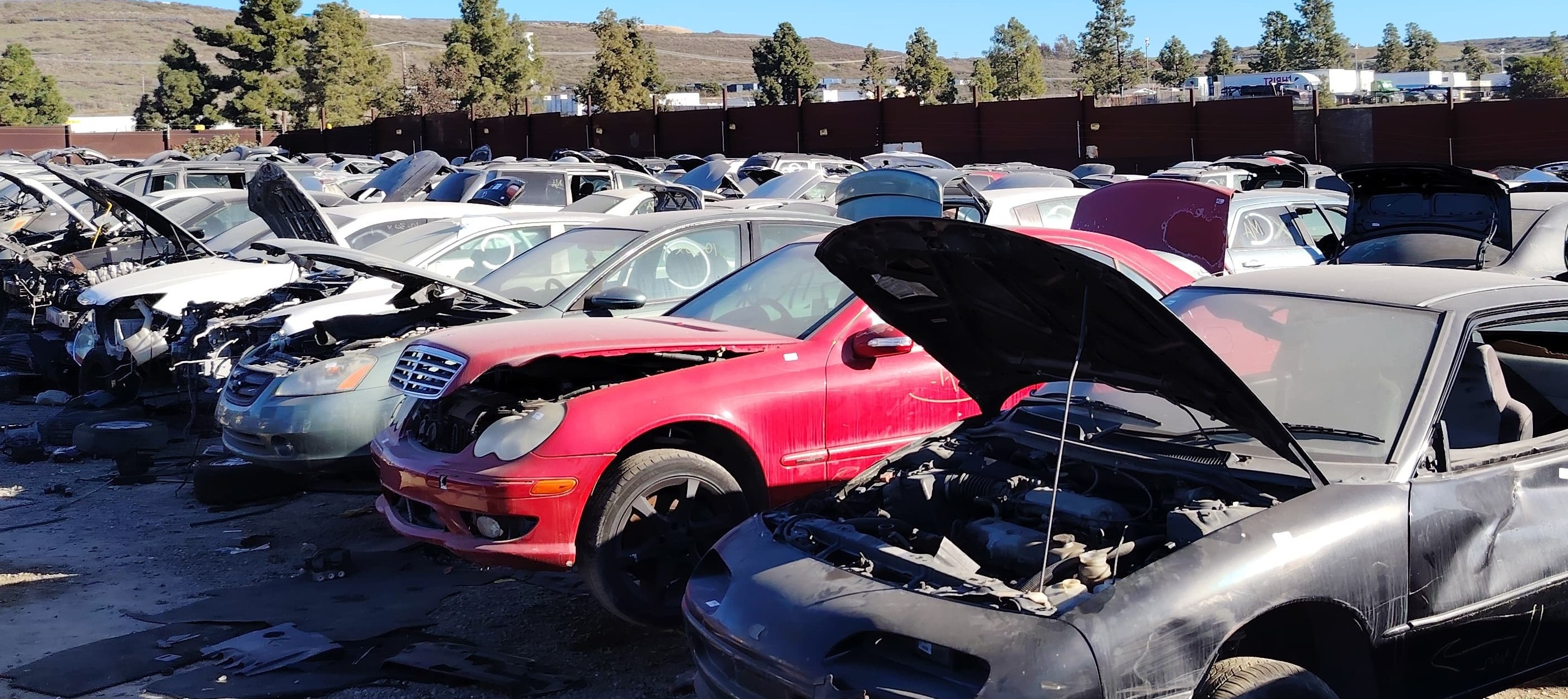 Transfers originales para Ford Ranger