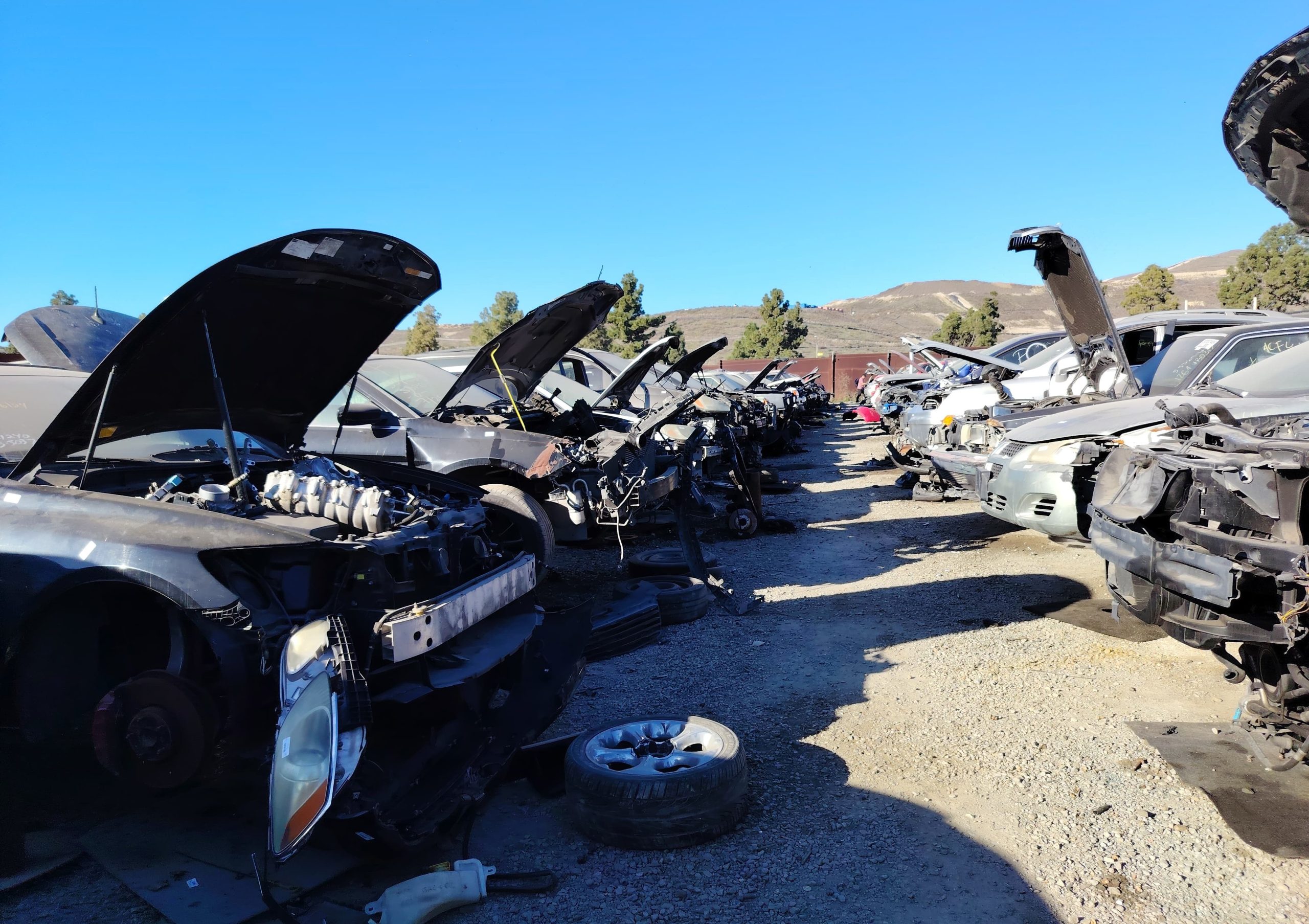 Venta de transfers para KIA