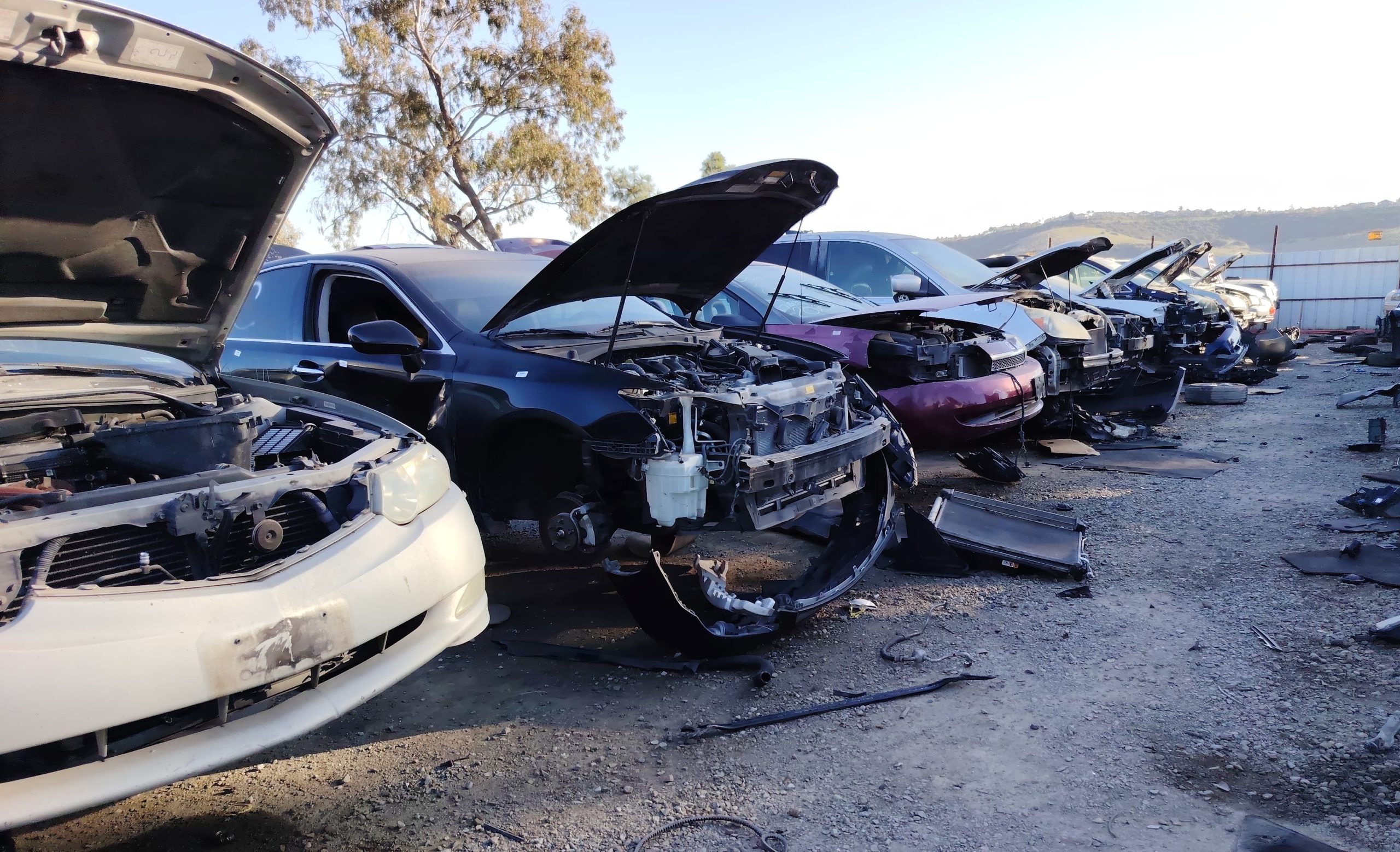 Accesorios Todas Las Marcas y Modelos