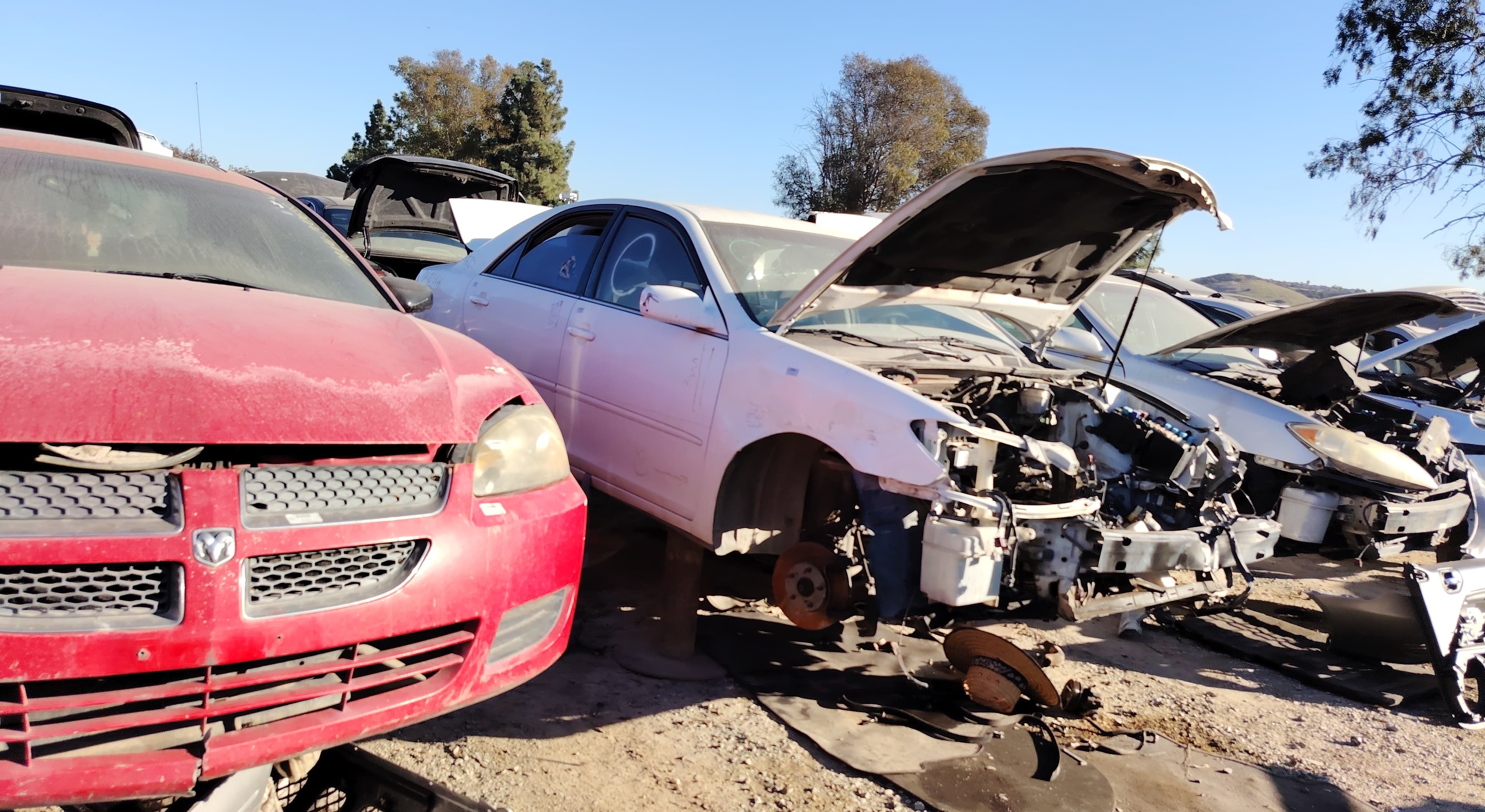 Transfers originales para Toyota Corolla