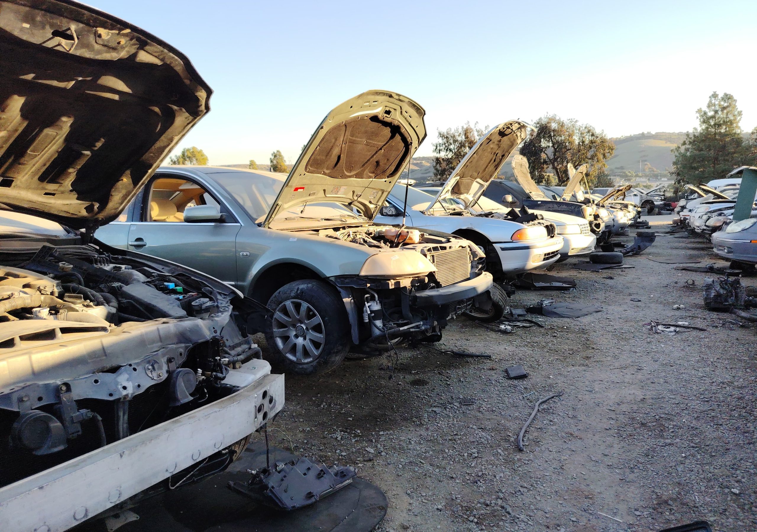 Venta de Transfers originales para KIA Forte