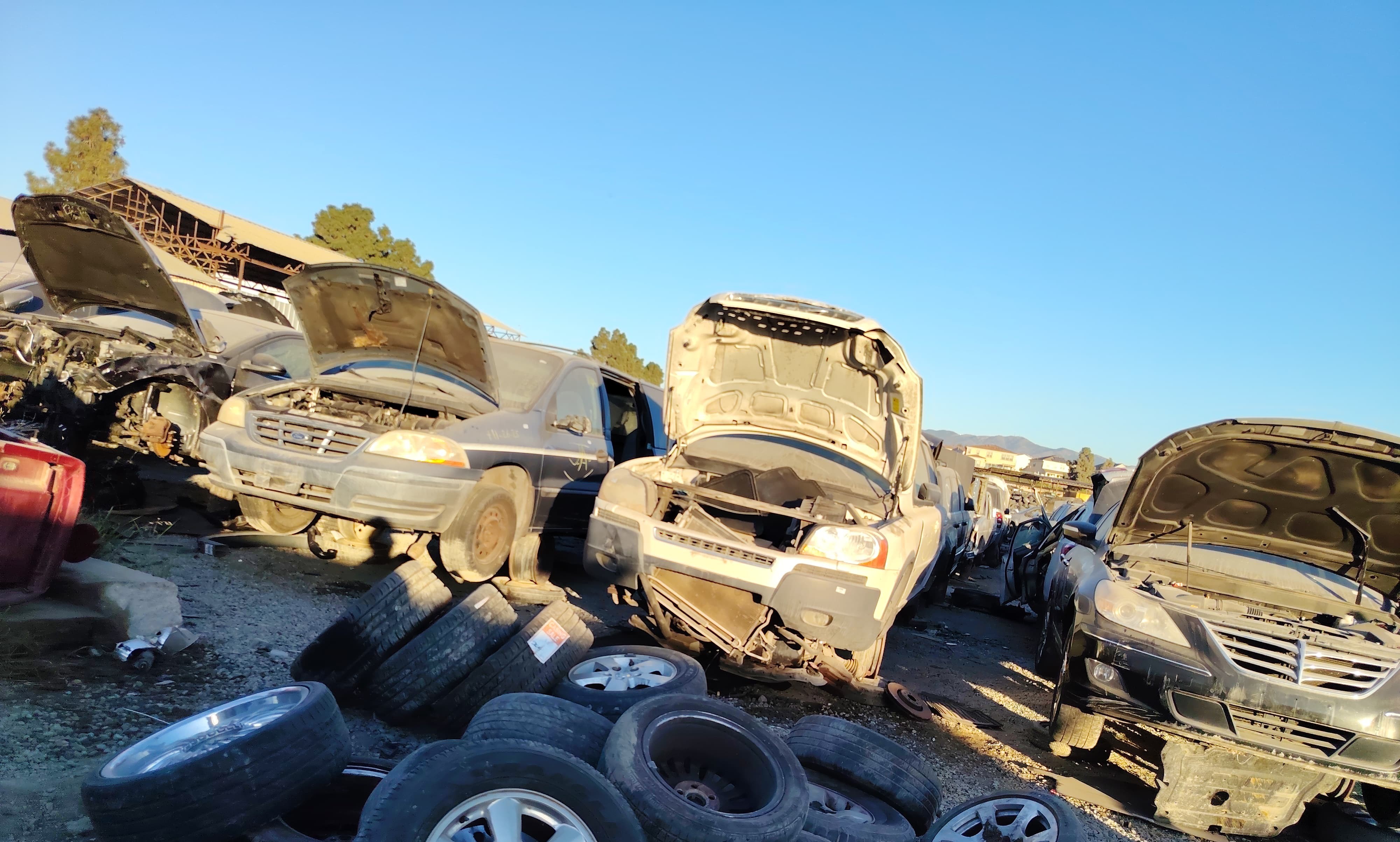 Computadoras originales para Ford Escape