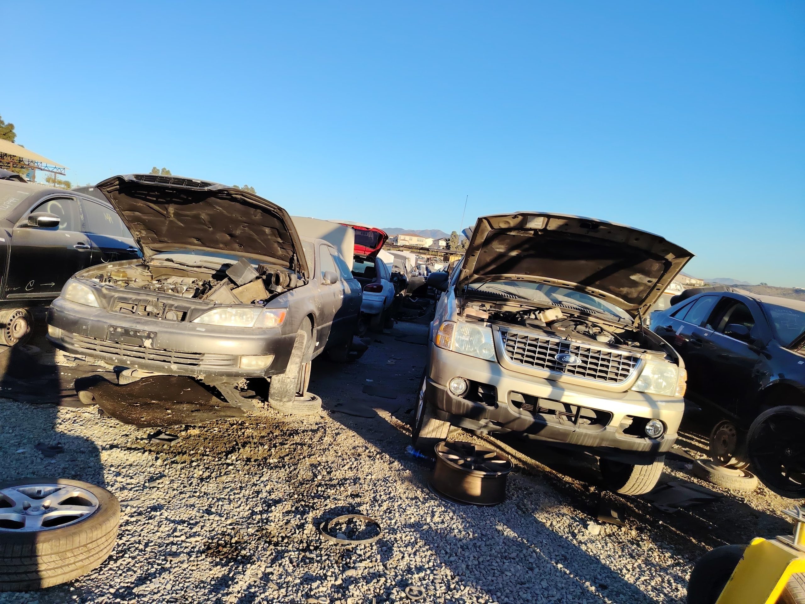 Transfers originales para Ford Escape