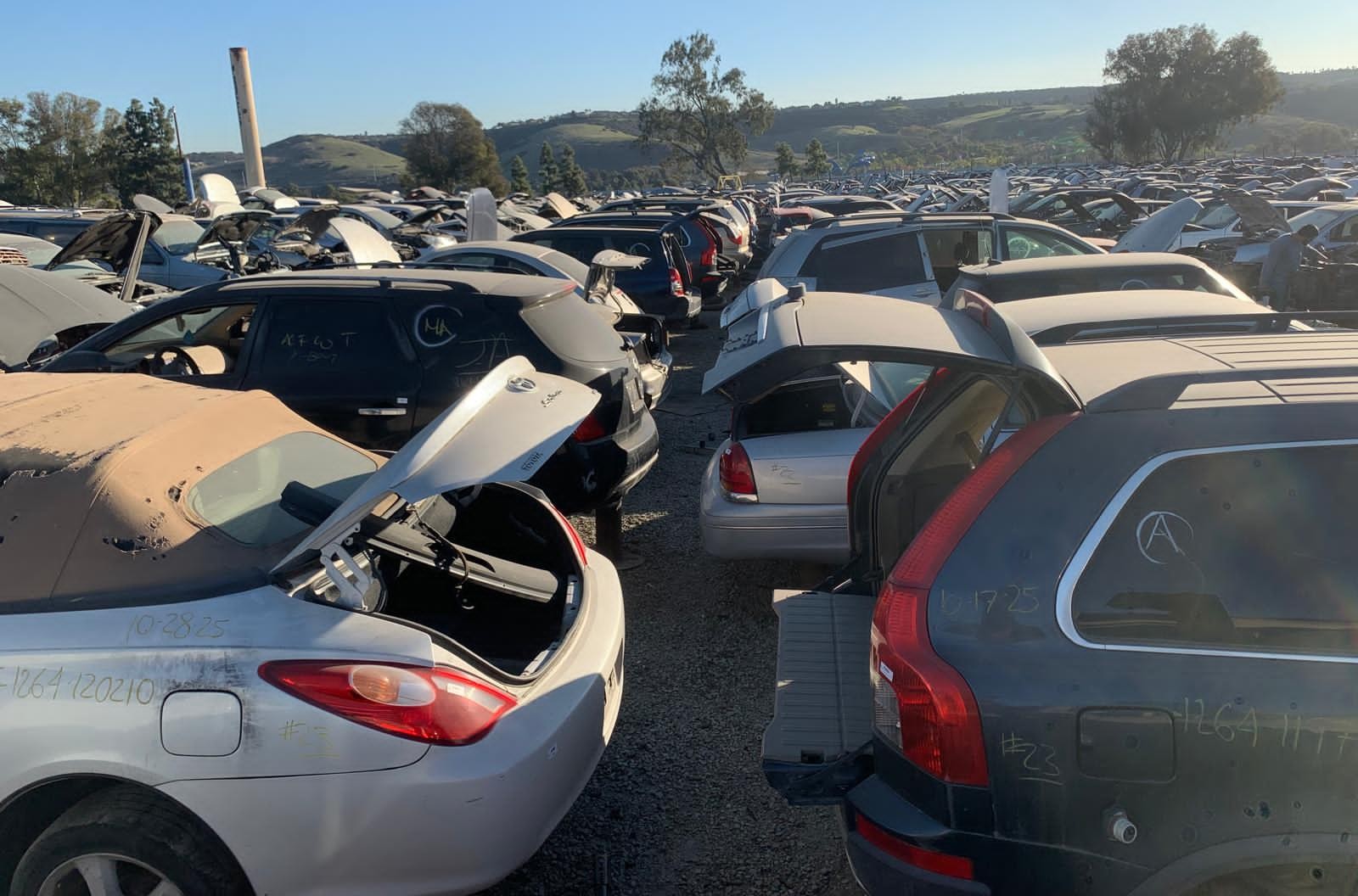 Transfers en venta para Mini Cooper