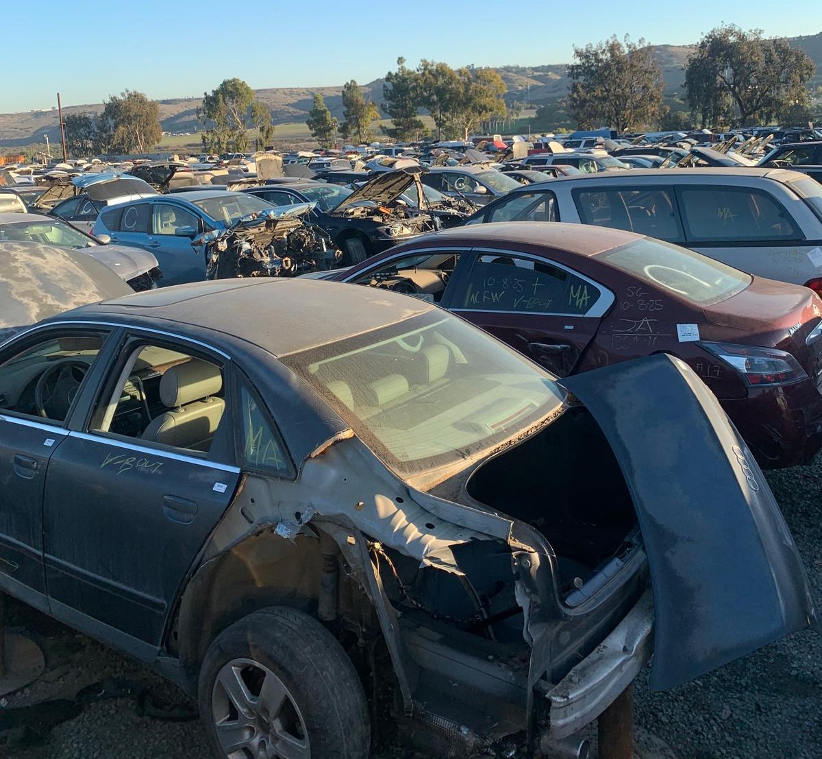 Venta de Transfers usados para Cadillac