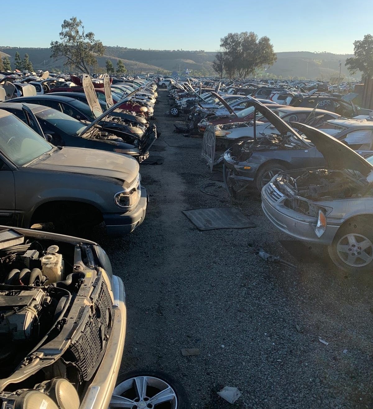 Venta de transmisiones para Oldsmobile