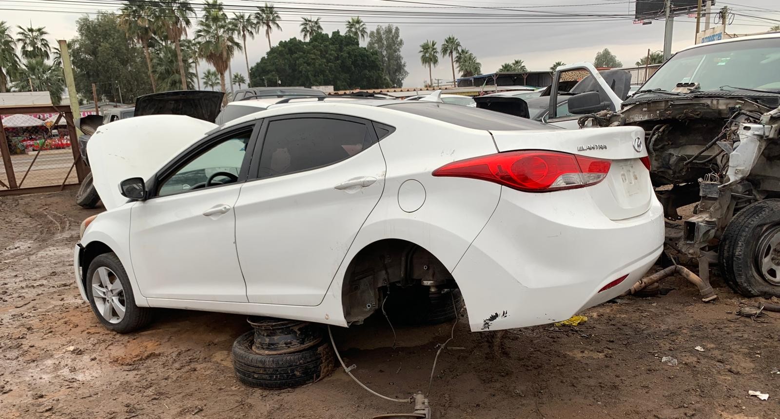 Diferenciales originales para Hyundai Elantra