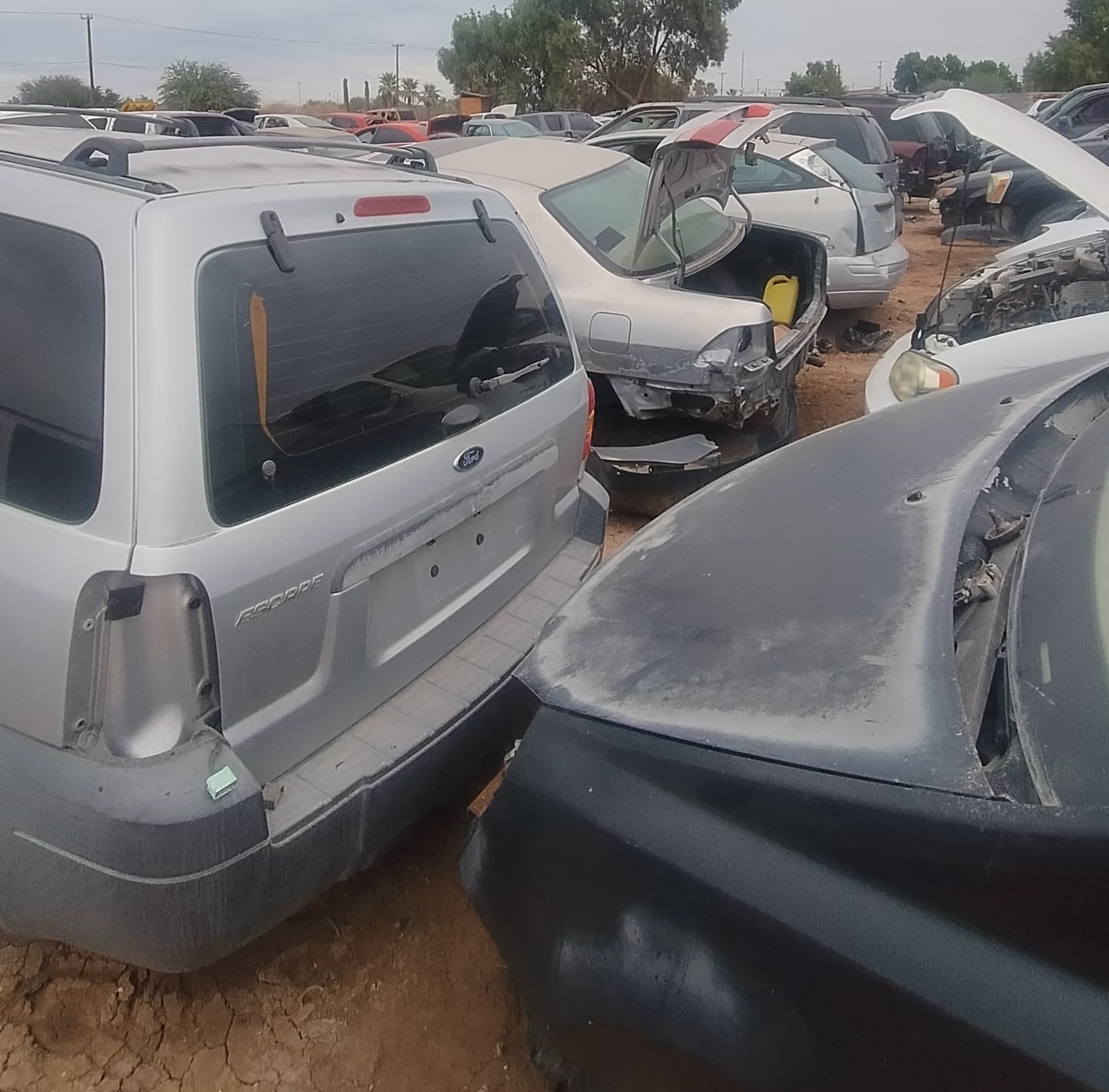 Diferenciales usadas para Oldsmobile Bravada