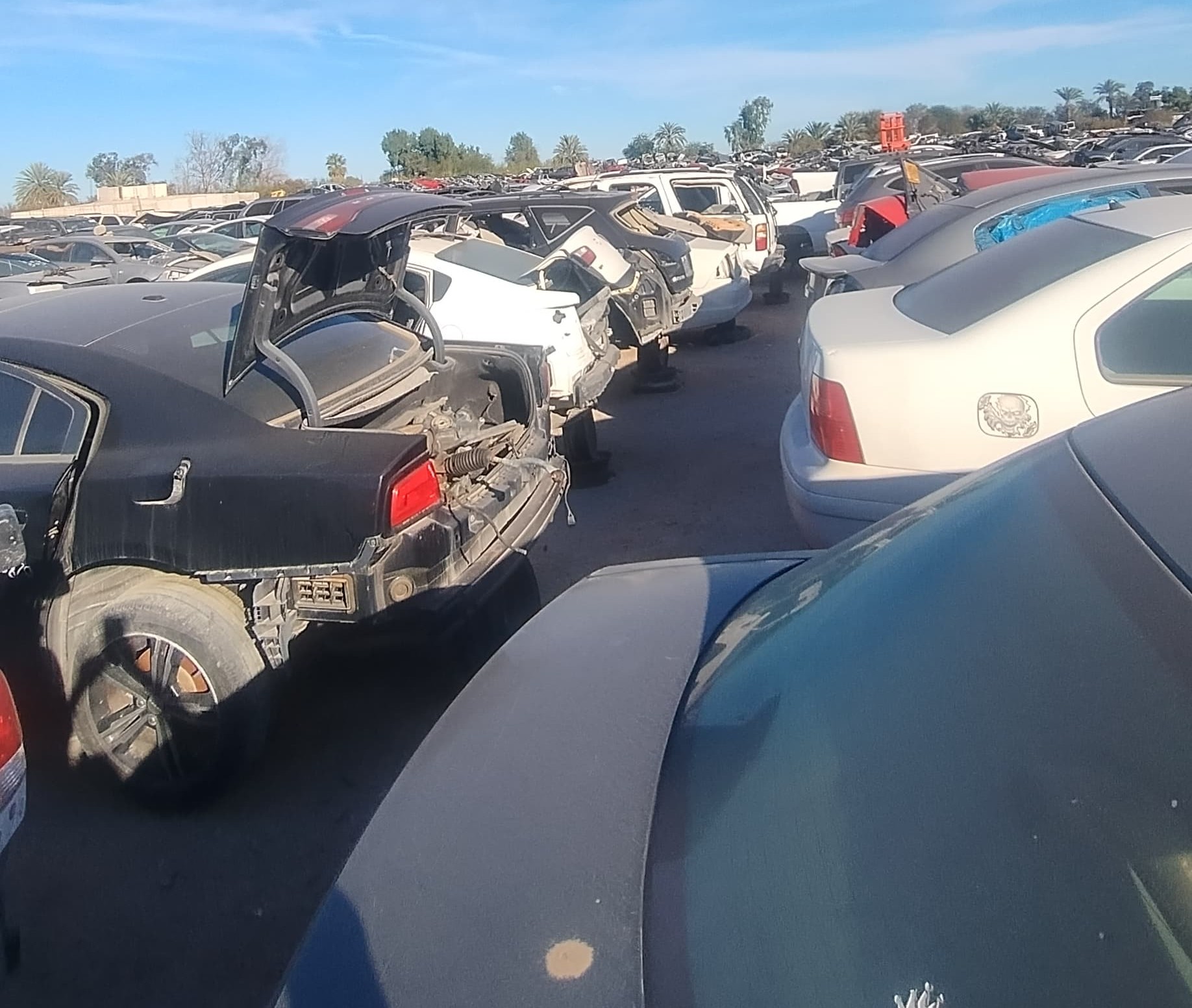 Transfers usados para Hyundai Elantra