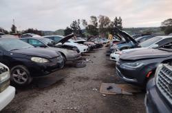 Transfers originales para Hyundai Veloster