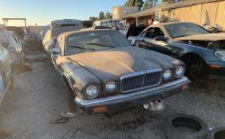 Motores para Jaguar linea X